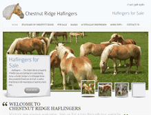 Tablet Screenshot of chestnutridgehaflingers.com